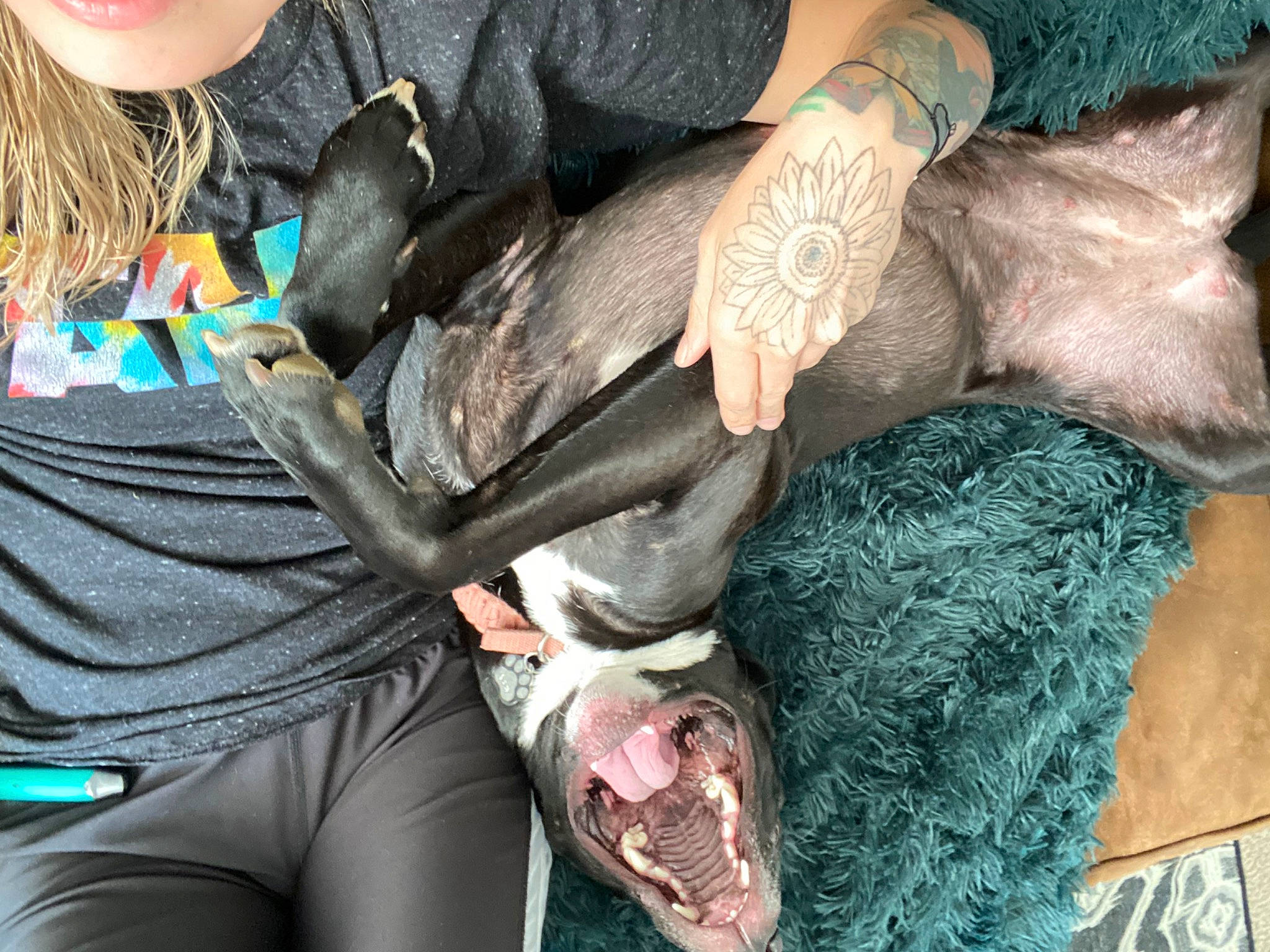 Abby is registered to the contest to win money with this photo: black_hair, chest, elbow, event, fashion_accessory, flesh, friendship, fun, gesture, happy, human_leg, jewellery, joint, nail, shoulder, textile, thigh, trunk, waist, wrist