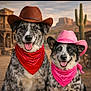 Miss Nellie joined the competition — help win amazing prizes! dog, cowboy_hat, bandana, desert, western, cactus, smiling, animal, pet, outdoor, portrait, cute, two_animals, costume, hat, happy, fur, ears, tongue_out, companions