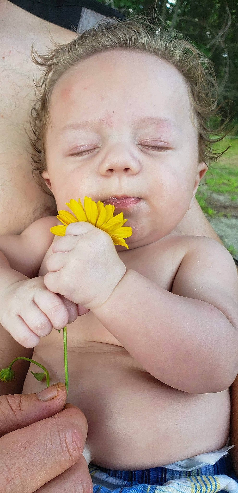 Gabe is registered to the contest to win money with this photo: baby, child, finger, flower, hand, lip, mouth, nail, neck, nose, olfaction, person, plant, skin, smile, toddler, yellow