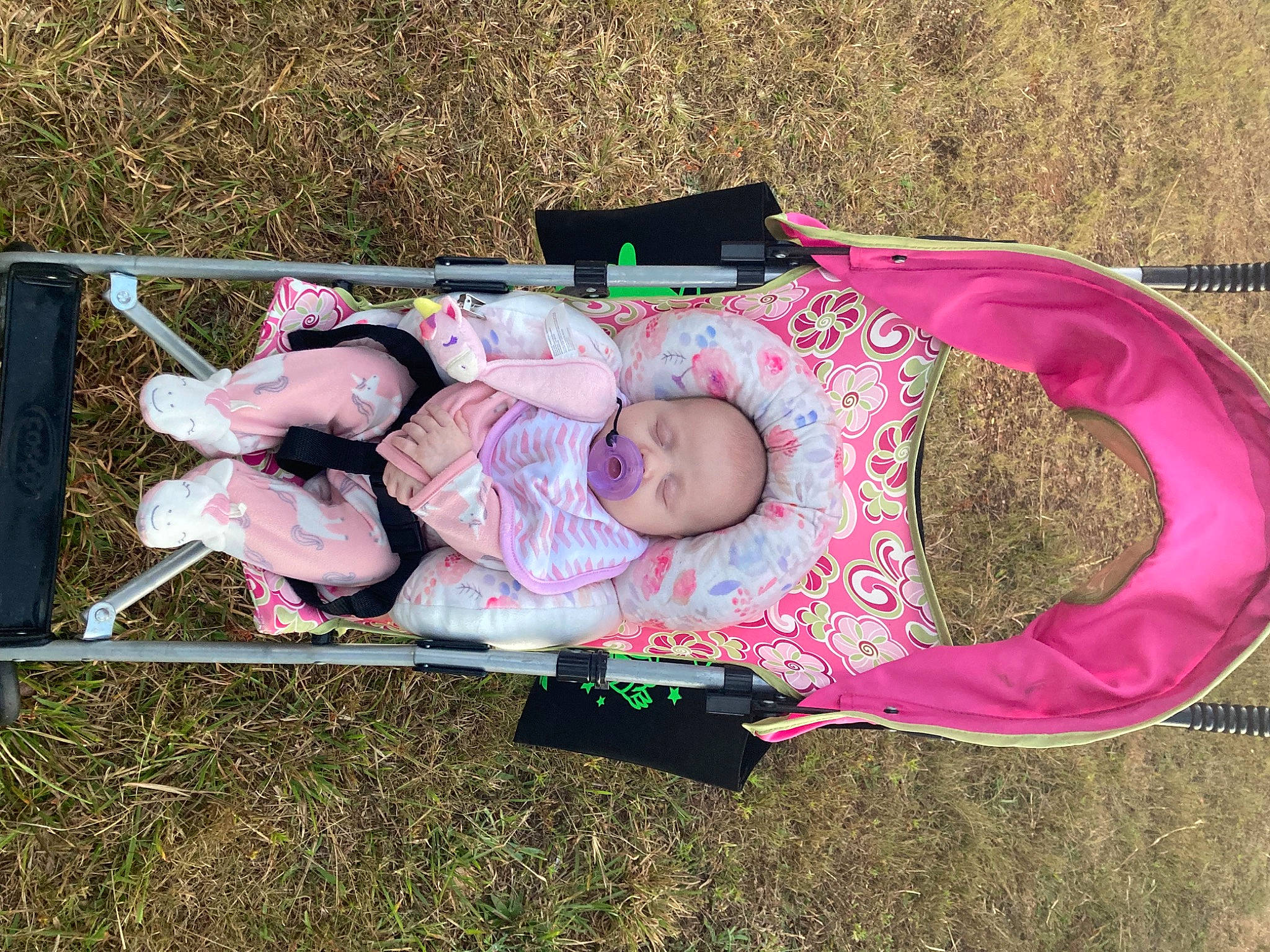 Willow is registered to the contest to win money with this photo: baby, baby_carriage, baby_products, baby_toddler_clothing, child, comfort, grass, magenta, pattern, people_in_nature, person, pink, recreation, sitting, toddler, tree