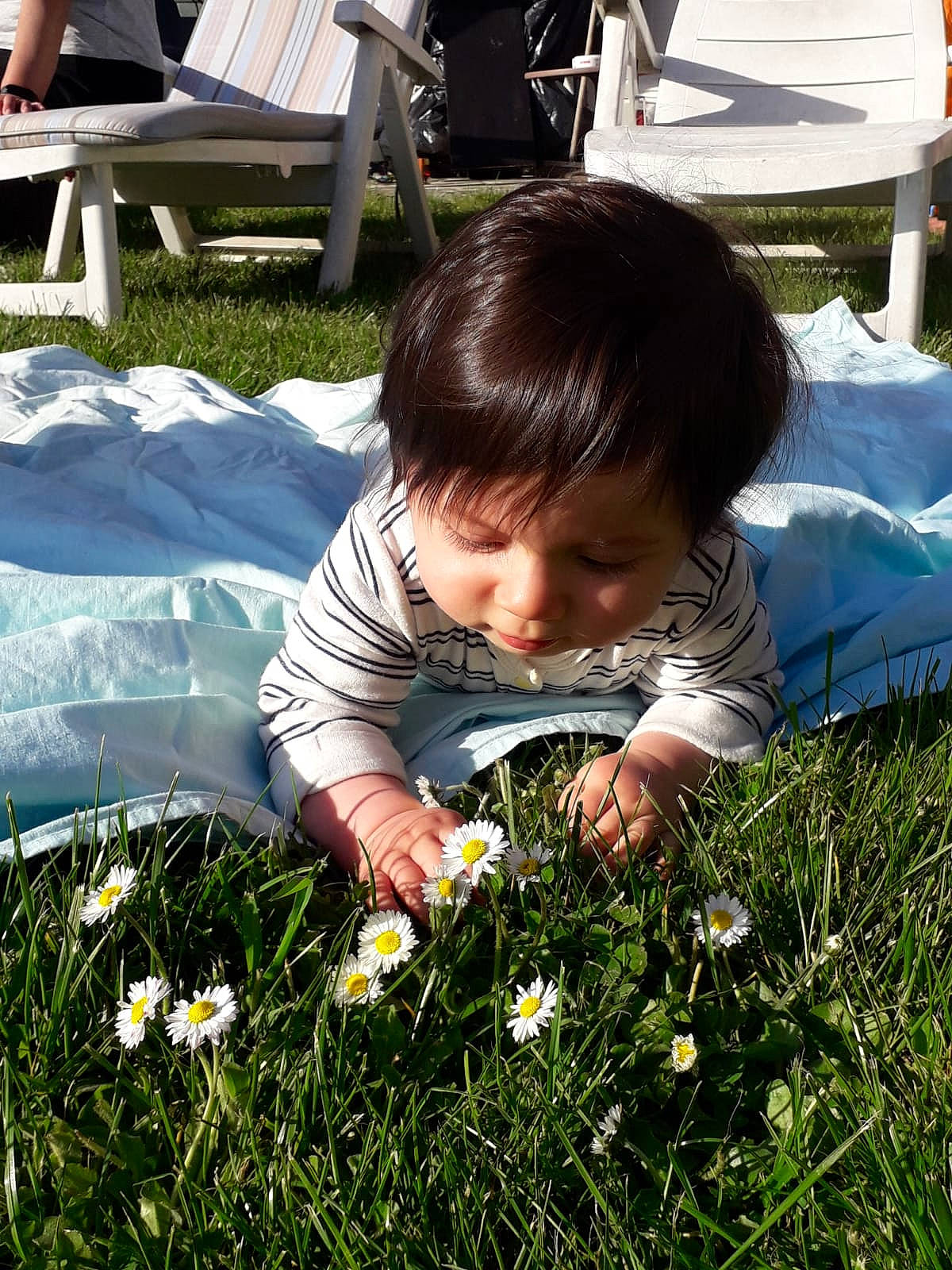 Antonin a rejoint le concours — aidez-le/la à gagner de superbes lots ! annual_plant, baby, chamaemelum_nobile, child, flower, flowering_plant, garden, grass, grass_family, green, groundcover, happy, lawn, leisure, meadow, people_in_nature, person, petal, plant, spring