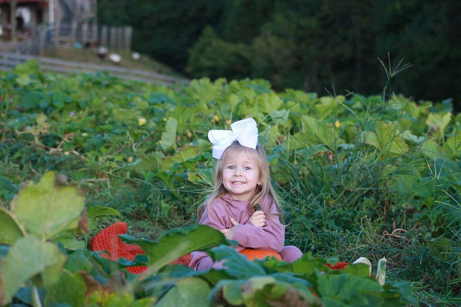 Emberlyn joined the competition — help win amazing prizes! baby, baby_toddler_clothing, flower, flowering_plant, grass, grassland, green, groundcover, happy, headgear, joy, landscape, leaf, meadow, natural_landscape, people_in_nature, person, petal, plant, terrestrial_plant