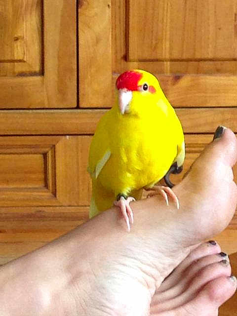 Quiqui
