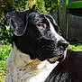 Hanka participe au concours pour gagner de l'argent avec cette photo :