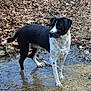 Hanka participe au concours pour gagner de l'argent avec cette photo :