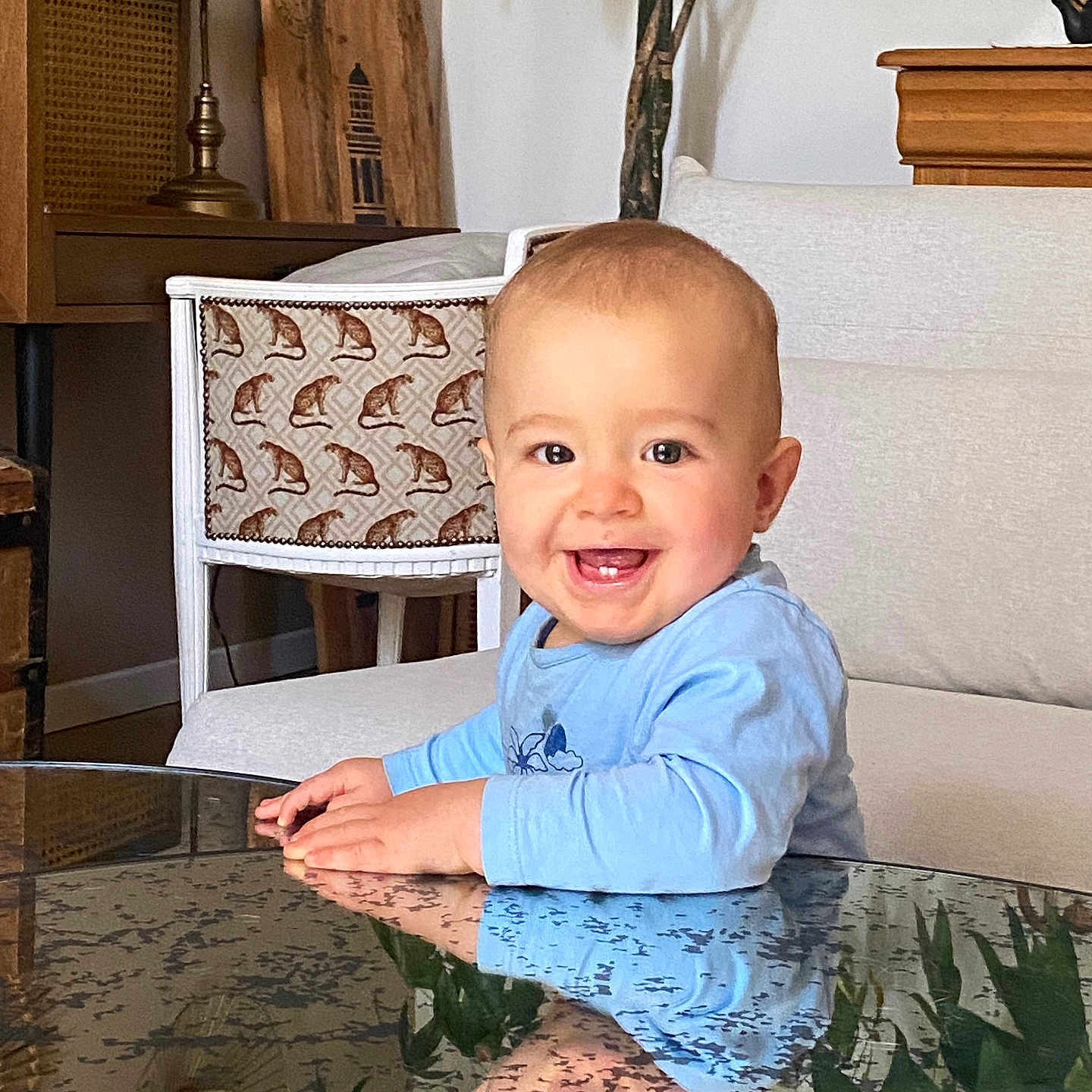 Pio a rejoint le concours — aidez-le/la à gagner de superbes lots ! baby, blue_shirt, chair, child, cute, face, furniture, glass_table, hands, happy, home_decor, indoor, infant, living_room, person, plant, portrait, reflection, smile, wooden_furniture