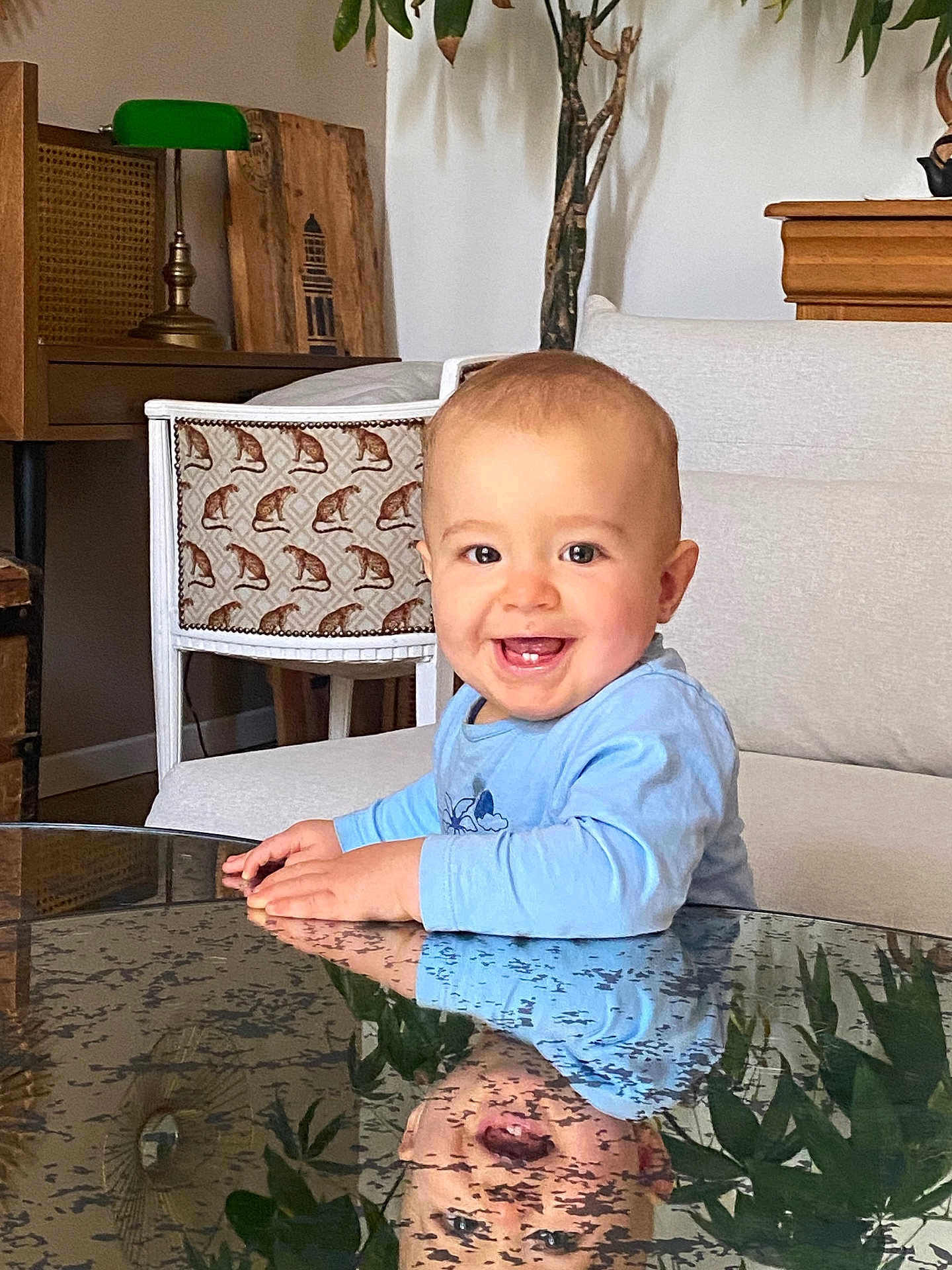 Pio a rejoint le concours — aidez-le/la à gagner de superbes lots ! baby, child, smile, reflection, glass_table, blue_shirt, indoor, living_room, furniture, plant, chair, cute, happy, portrait, face, hands, wooden_furniture, home_decor, infant, person