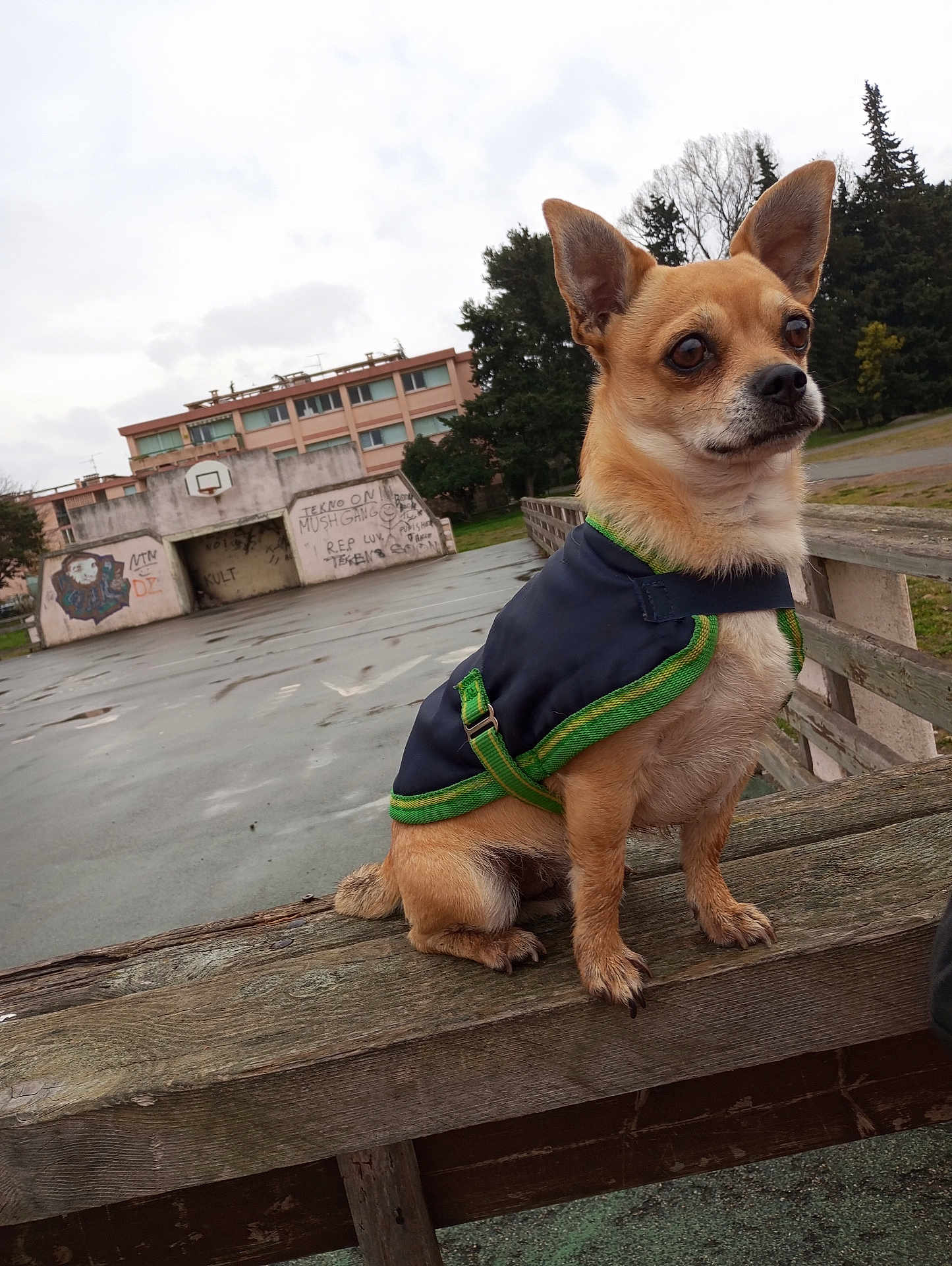 Christopher Verlinde