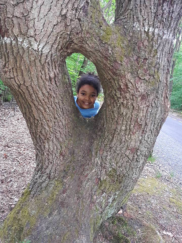 Tanya participe au concours pour gagner de l'argent avec cette photo : branch, grass, joy, person, plant, tree, trunk, woodland, woody_plant