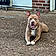 Tyson