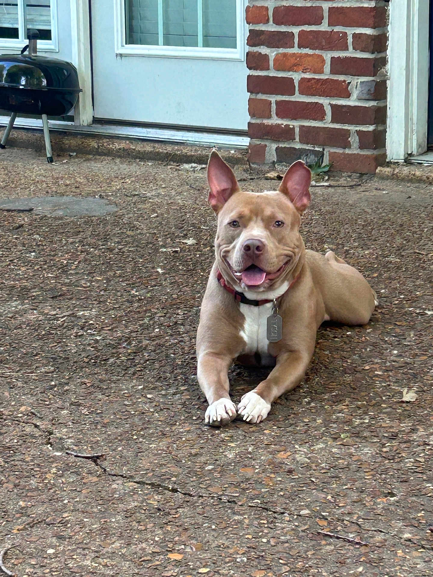 Tyson