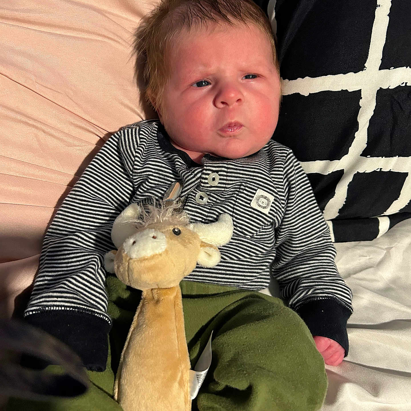 Everett joined the competition — help win amazing prizes! baby, bed, bodypart, clothing, couch, cushion, face, finger, furniture, hand, head, homedecor, newborn, pants, person, photography, plush, portrait, sitting, toy