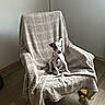 dog, small_dog, jack_russell, pet, animal, sitting, alert, white_fur, brown_patches, pink_collar, indoors, armchair, blanket, living_room, wood_floor, sunlight, tennis_ball, cozy, portrait, home