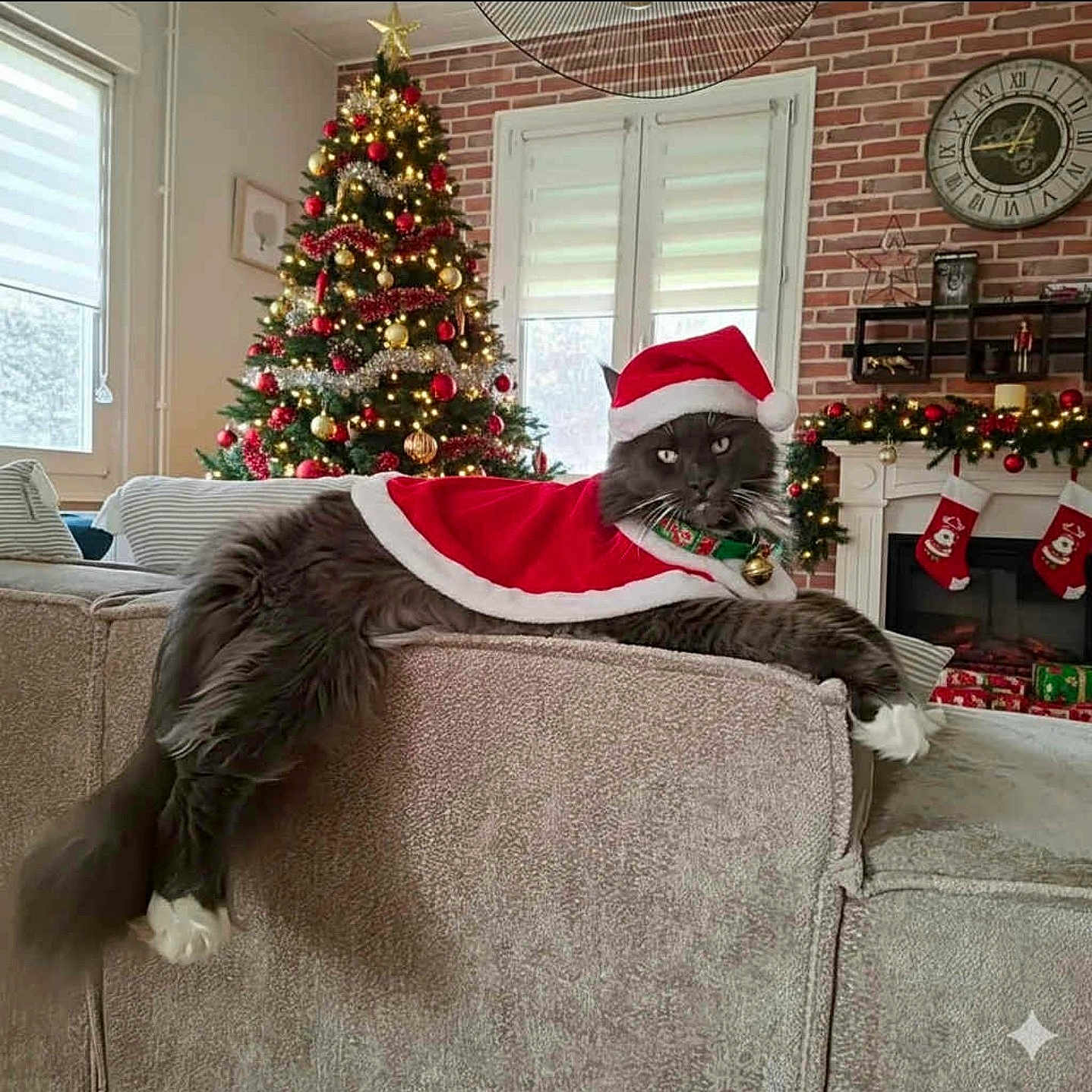 Thiga participe au concours pour gagner de l'argent avec cette photo : cat, celebration, christmas_decorations, christmas_tree, couch, cozy, decorated, festive, fireplace, fluffy_cat, holiday, indoor, living_room, pet, presents, relaxed, santa_cape, santa_hat, stockings, winter