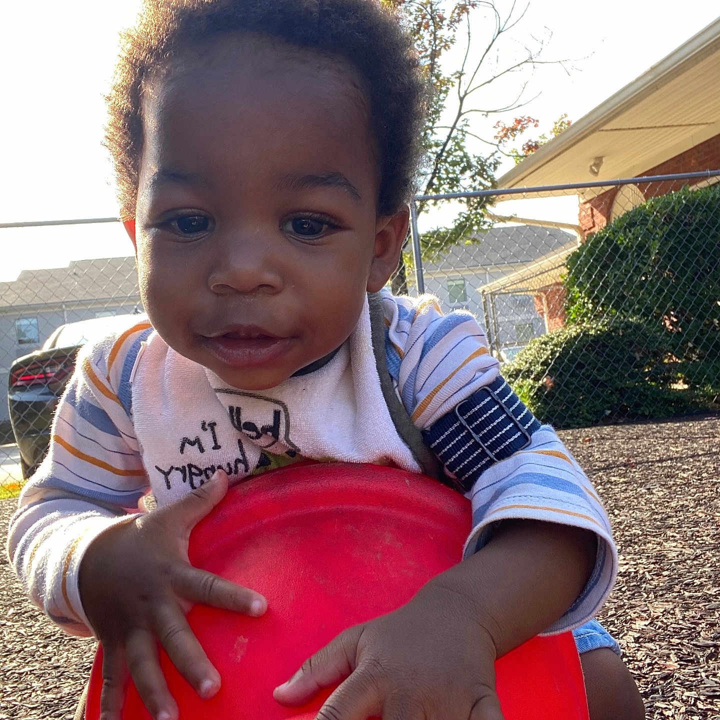 Zaire joined the competition — help win amazing prizes! baby, bodypart, clothing, face, glove, grass, head, nature, outdoors, park, person, photography, plant, playarea, portrait, soil, summer, toy, tree, yard
