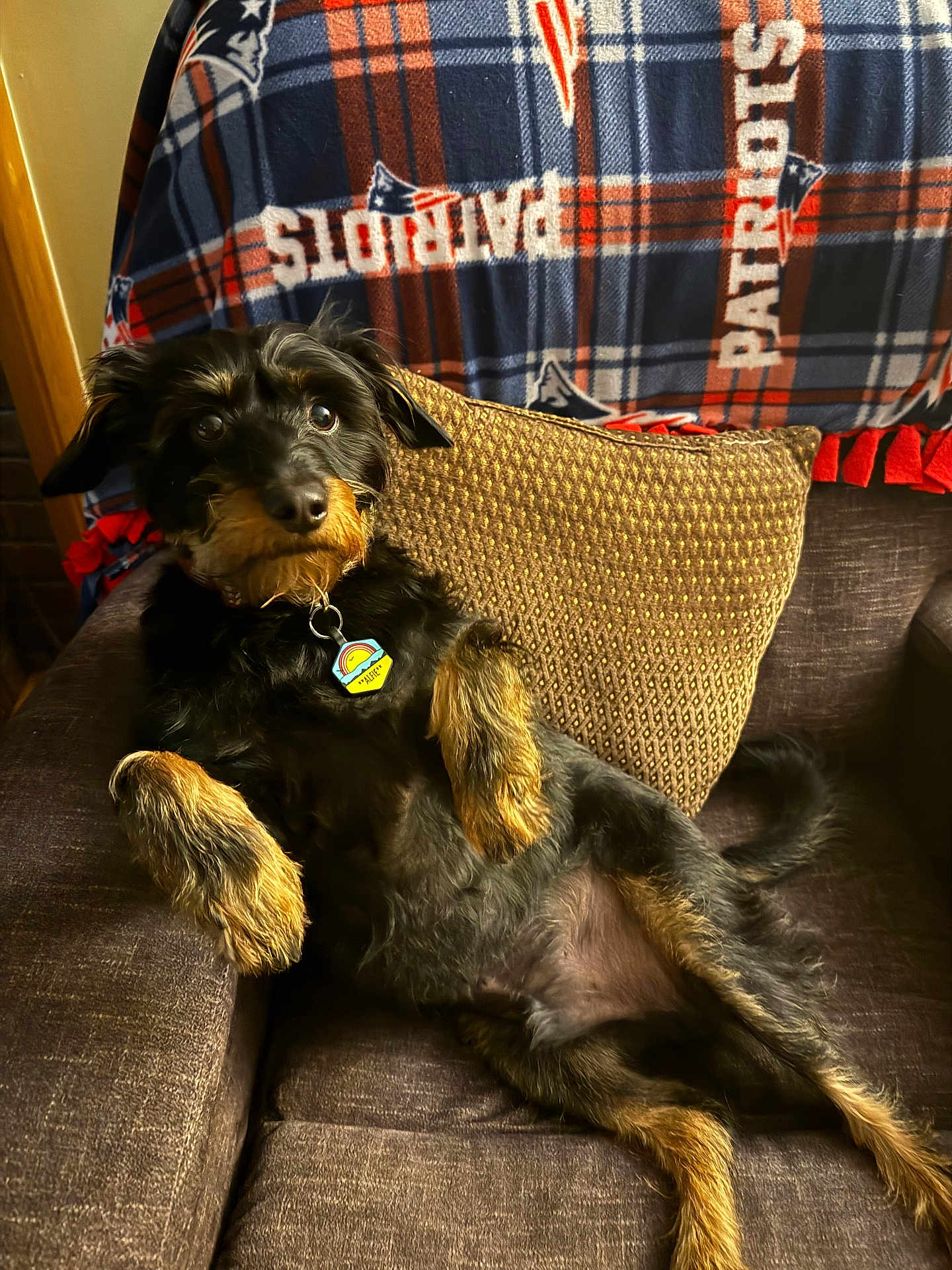 Alfie