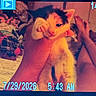 animal, blurry, cat, closeup, clutter, domestic, early_morning, fabric, feline, grip, hand, indoor, orange_tone, person, pet, pixelated, snapshot, timestamp, toy, video_overlay