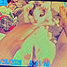 Twix joined the competition — help win amazing prizes! animal, blurry, cat, closeup, date_display, digital, distorted, early_morning, feline, hand, holding, indoor, low_quality, orange, person, pixelated, screen_texture, time_display, timestamp, white