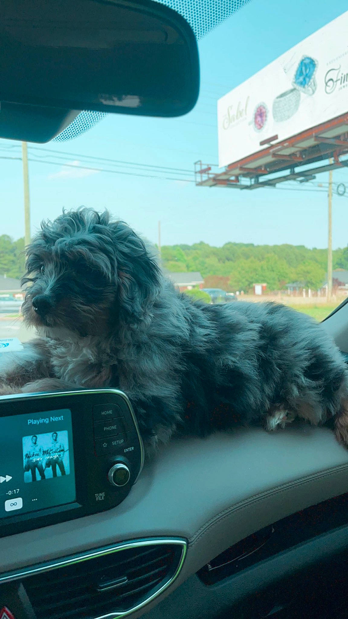 Wrangler joined the competition — help win amazing prizes! auto_part, automotive_design, automotive_exterior, automotive_mirror, automotive_tire, car, carnivore, companion_dog, dog, dog_breed, glass, hood, motor_vehicle, personal_luxury_car, sky, snout, steering_wheel, vehicle, vehicle_door, windscreen_wiper