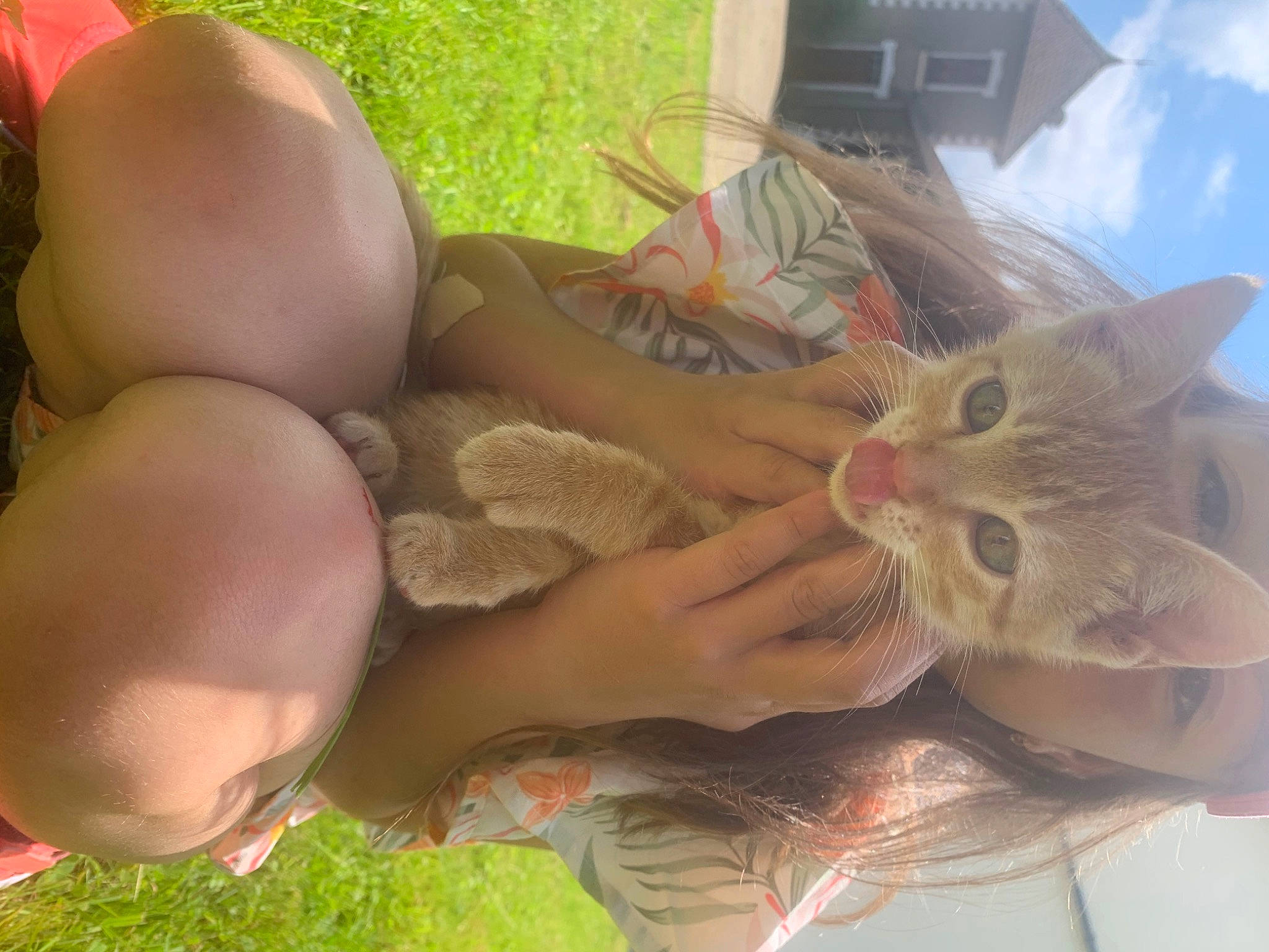 Shakira a rejoint le concours — aidez-le/la à gagner de superbes lots ! carnivore, cat, chest, domestic_short_haired_cat, fawn, felidae, finger, foot, fur, grass, human_leg, knee, nail, plant, small_to_medium_sized_cats, thigh, thumb, tree, whiskers, wood