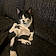 Tuxie