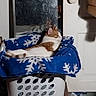 blue_blanket, cat, comfort, cozy, domestic, door, feline, furniture, home, household_items, indoor, laundry_basket, mirror, orange_and_white_cat, pet, reflection, relaxed, resting, sleepy, snowflake_pattern