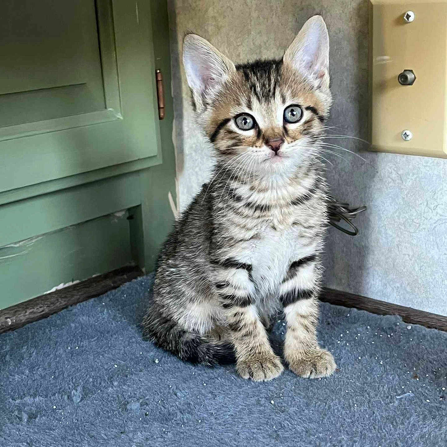 Sebastian