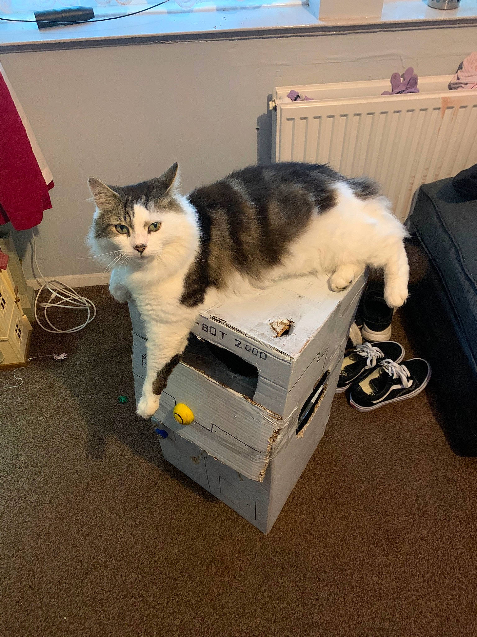 Bubbles is registered to the contest to win money with this photo: bag, box, cardboard, carnivore, cat, domestic_short_haired_cat, felidae, flooring, fur, luggage_and_bags, packaging_and_labeling, room, shipping_box, small_to_medium_sized_cats, tail, whiskers