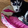 Sadie