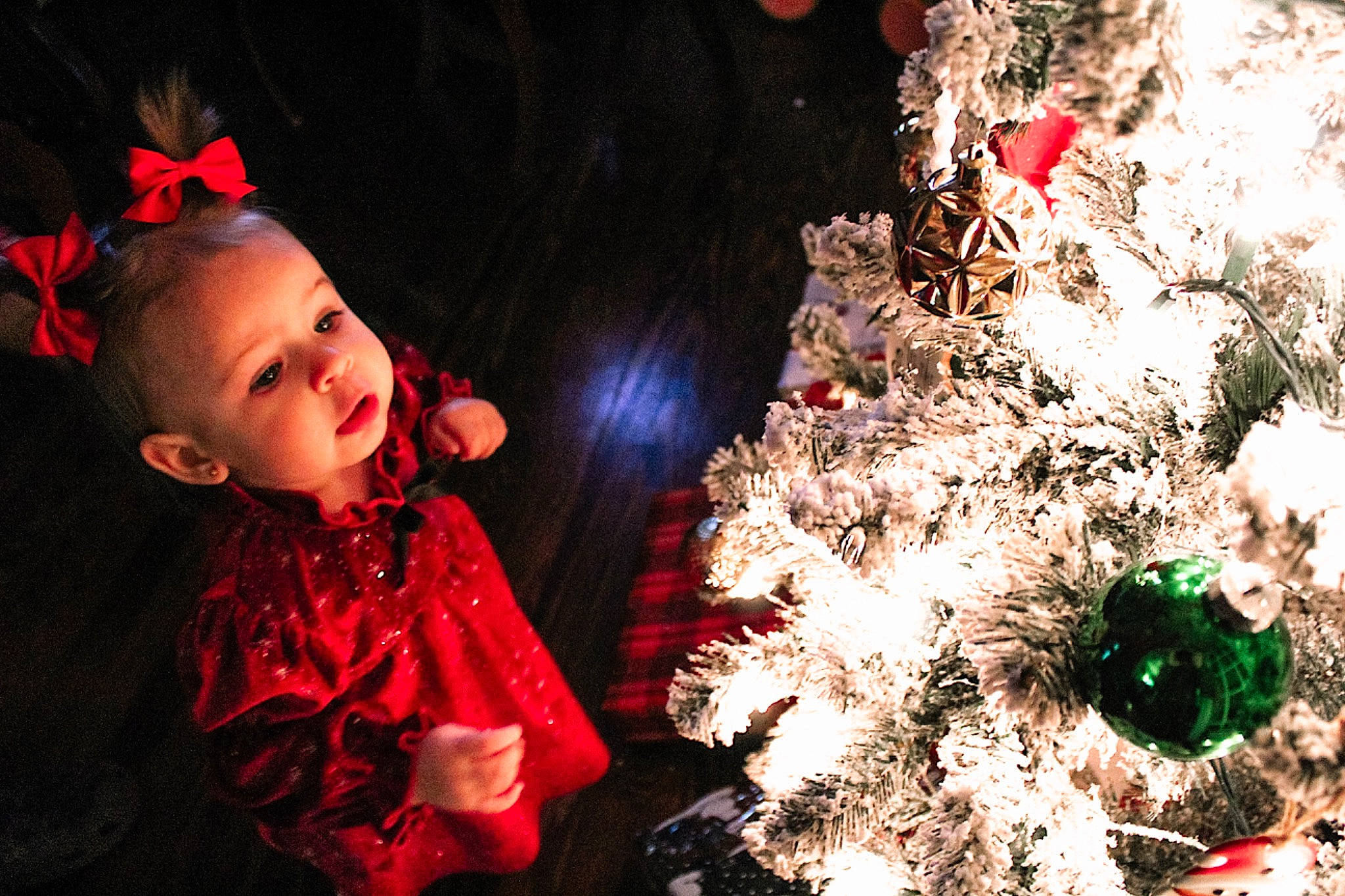 Sutton joined the competition — help win amazing prizes! christmas, christmas_decoration, christmas_eve, christmas_lights, christmas_ornament, christmas_tree, conifer, event, evergreen, flash_photography, fun, happy, holiday, holiday_ornament, ornament, person, plant, toddler, tradition, tree