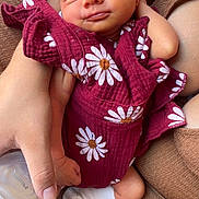 Izy a rejoint le concours — aidez-le/la à gagner de superbes lots ! baby, newborn, infant, sleeping, maroon_clothing, daisy_pattern, hand, bottle, feeding, sock, cozy, brown, fabric, couch, resting, cute, peaceful, person, skin, closeup