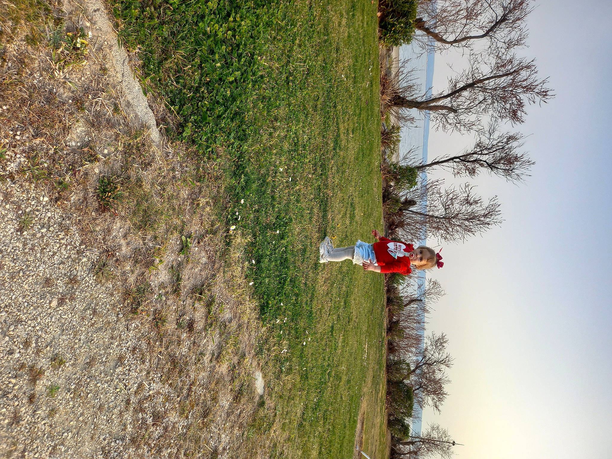 Clara a rejoint le concours — aidez-le/la à gagner de superbes lots ! adventure, extreme_sport, geological_phenomenon, grass, grass_family, groundcover, landscape, people_in_nature, person, plant, plant_stem, pole, recreation, shrub, sky, slope, soil, tree, trunk, twig