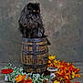 animal, canine, cat, dog, flower, flowerarrangement, food, jar, leaf, maple, pet, plant, planter, pottedplant, produce, pumpkin, squash, tree, vegetable, wood