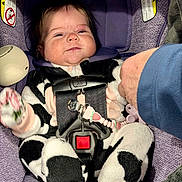 Emilia is registered to the contest to win money with this photo: baby, child, car_seat, onesie, cow_print, pacifier_clip, hand_holding, purple, seatbelt, smile, infant, cute, indoor, clothing, person, sitting, safety_harness, plush, cozy, portrait