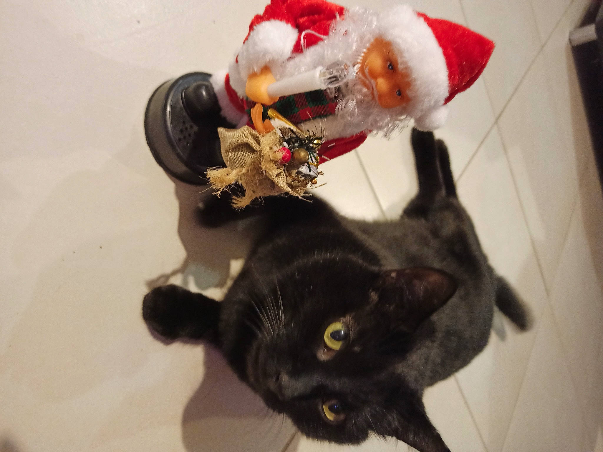Loupi a rejoint le concours — aidez-le/la à gagner de superbes lots ! black_cat, bombay, carnivore, cat, christmas, christmas_eve, costume_accessory, costume_hat, felidae, fictional_character, figurine, fur, plush, santa_claus, small_to_medium_sized_cats, stuffed_toy, tail, toy, vertebrate, whiskers