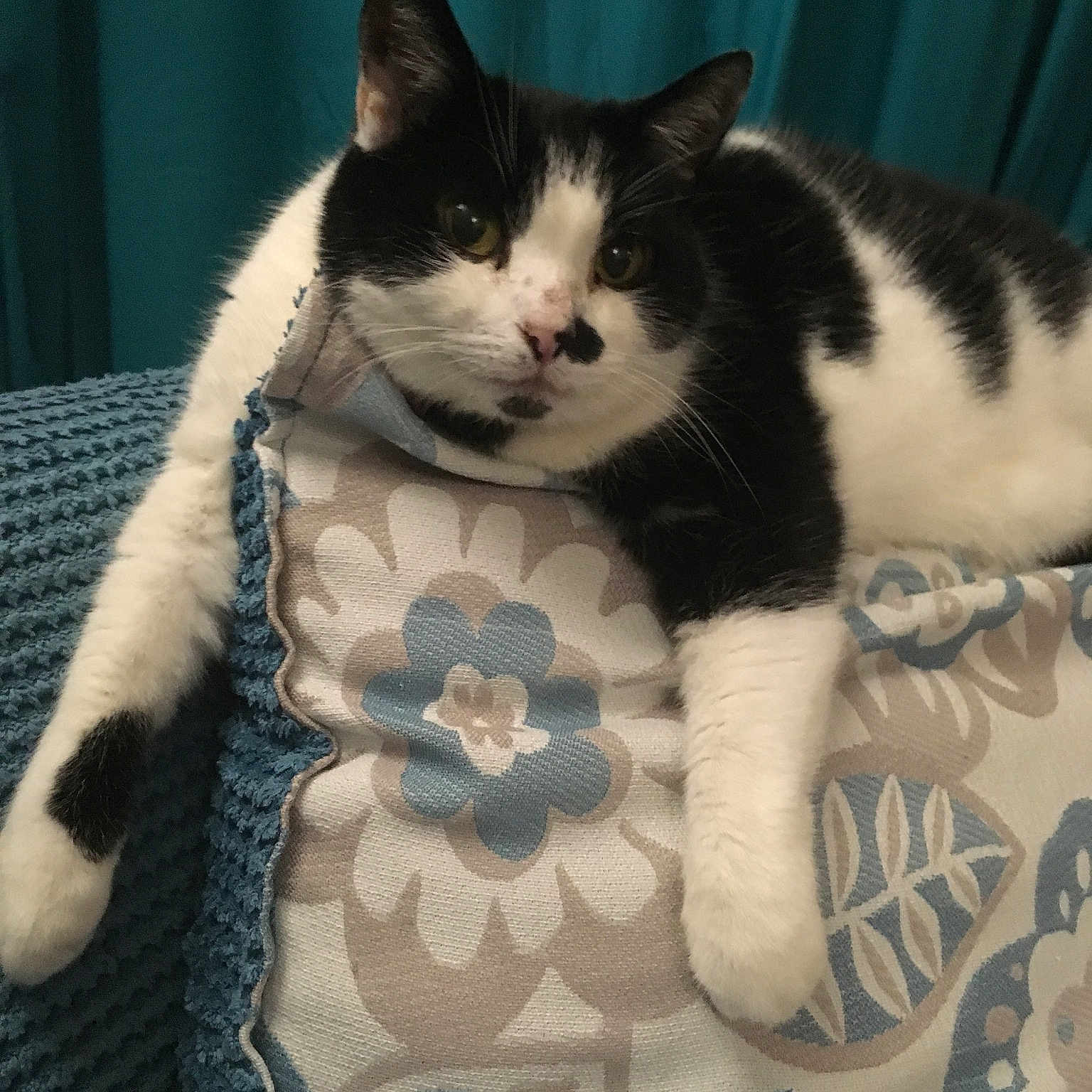Jenny
