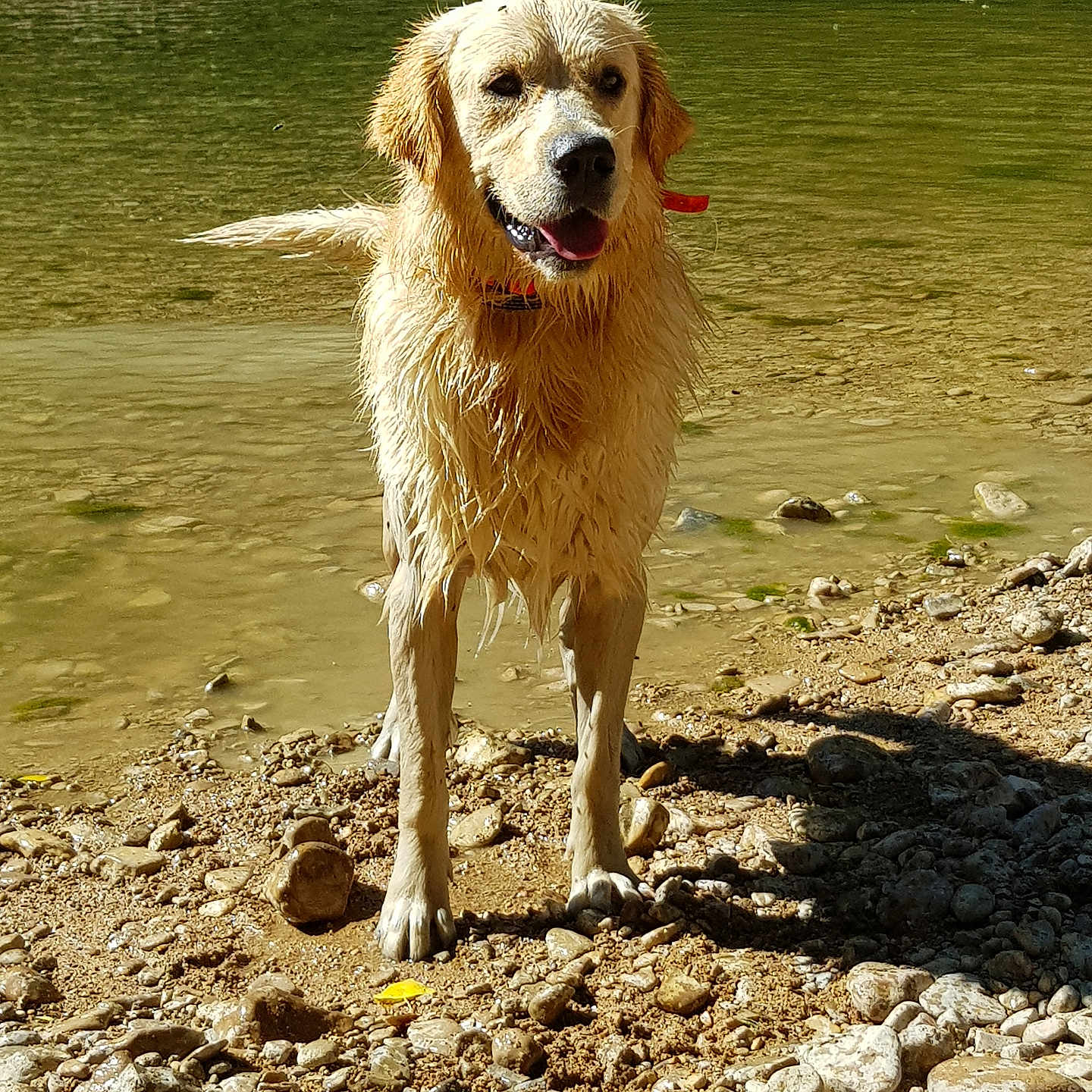 Ruby