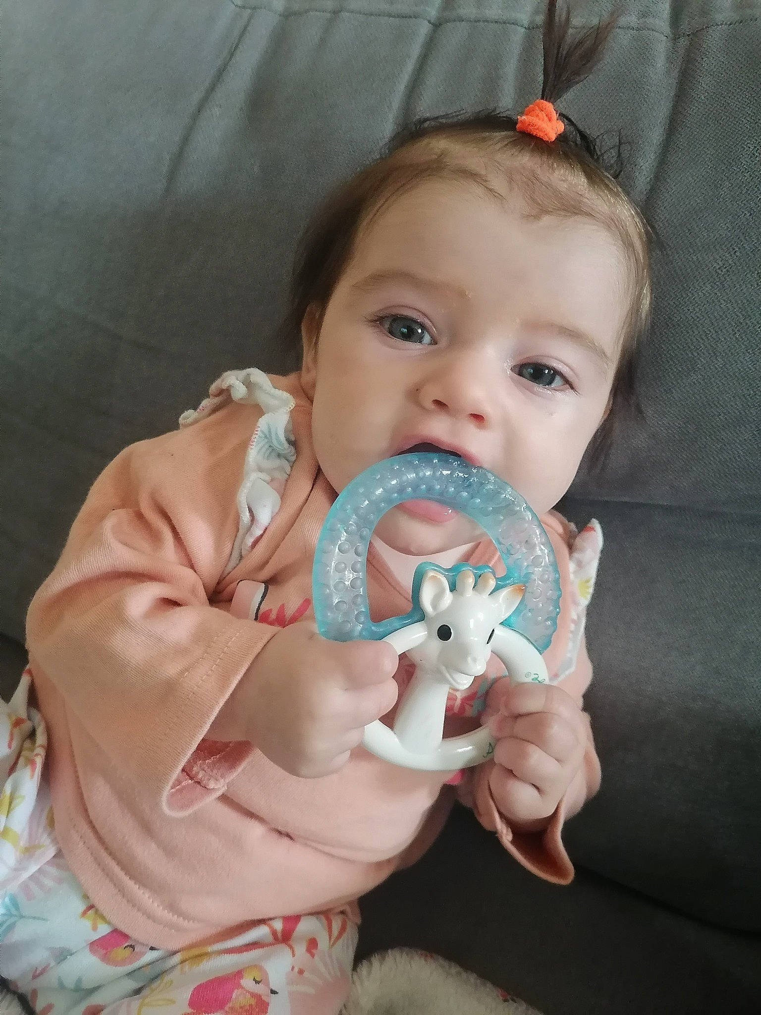 Anna participe au concours pour gagner de l'argent avec cette photo : baby, baby_toddler_clothing, cheek, child, comfort, eye, face, happy, head, iris, lip, mammal, nose, person, pink, skin, sleeve, textile, toddler, toy