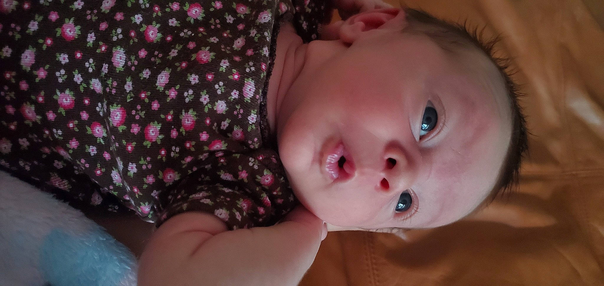 Gianna is registered to the contest to win money with this photo: baby, beauty, cheek, child, chin, close_up, eye, eyebrow, face, facial_expression, forehead, head, iris, lip, mouth, nose, organ, person, pink, skin