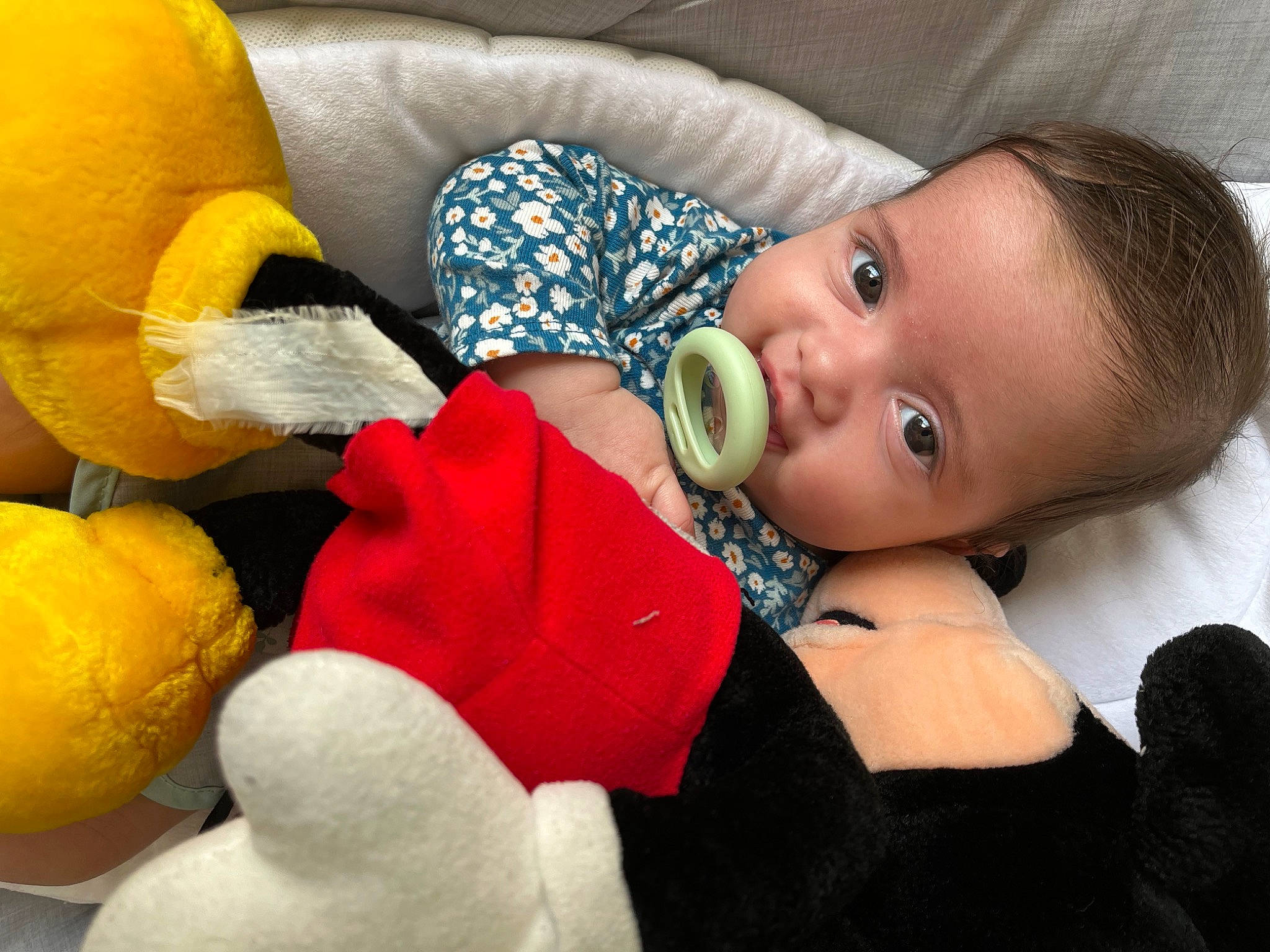 Juliet is registered to the contest to win money with this photo: arm, baby, baby_toddler_clothing, cheek, comfort, ear, eye, eyelash, facial_expression, finger, iris, lip, mammal, mouth, nose, person, product, textile, toy, vertebrate