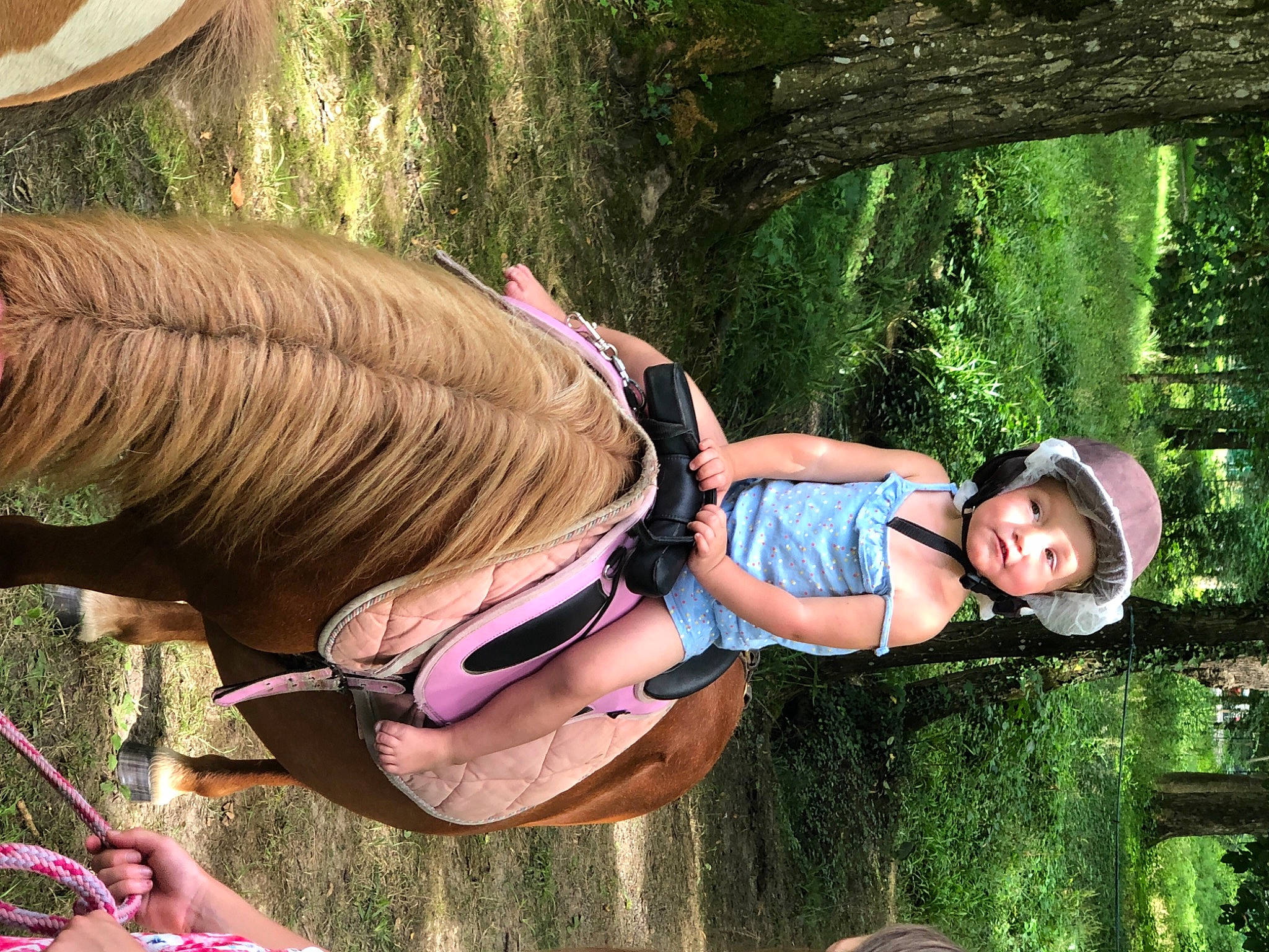 Maelys participe au concours pour gagner de l'argent avec cette photo : bridle, fawn, grass, green, headwear, horse, horse_supplies, horse_tack, landscape, leisure, liver, outdoor_recreation, pack_animal, people_in_nature, person, plant, recreation, rein, saddle, sorrel
