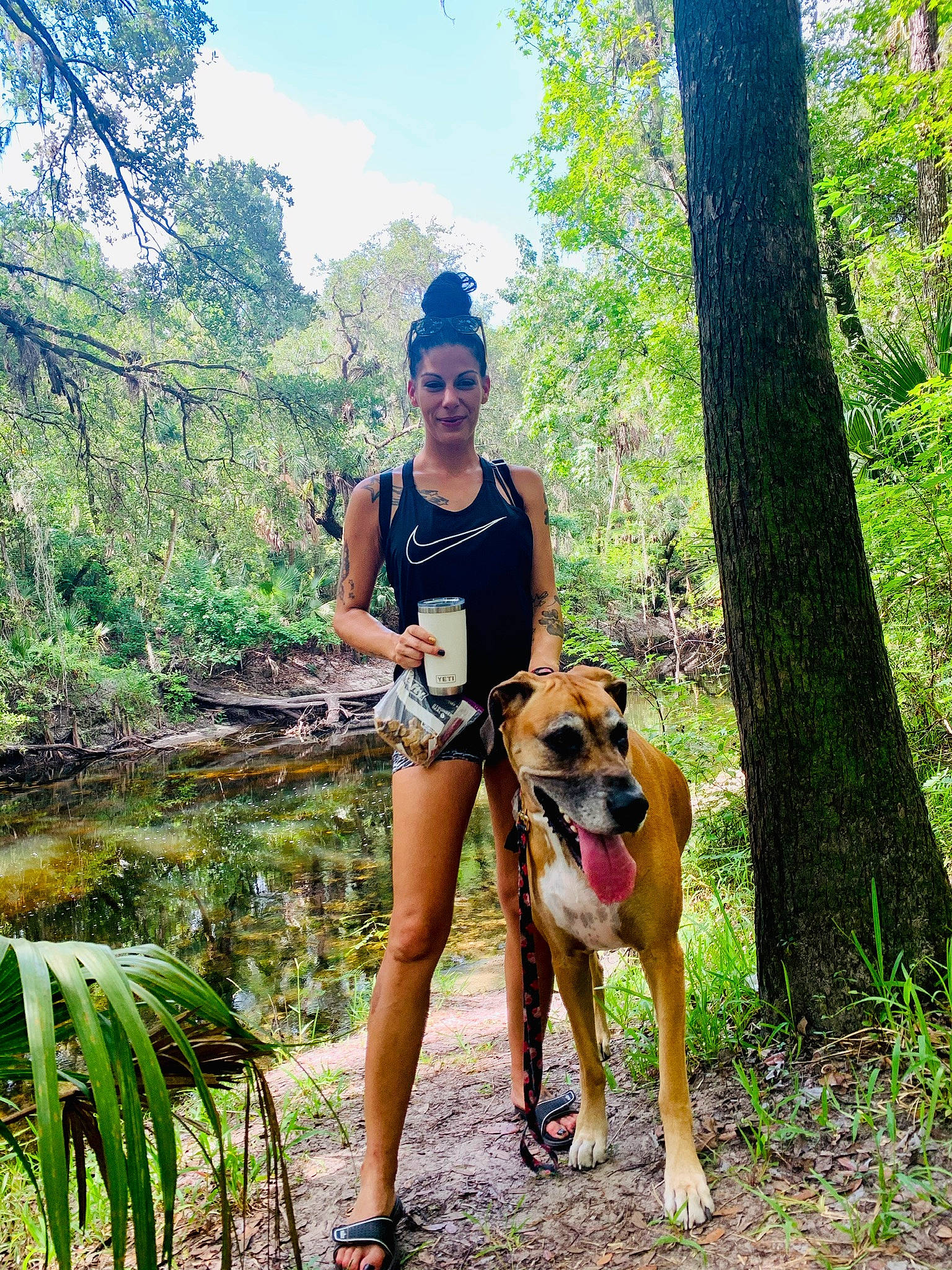 Heralee joined the competition — help win amazing prizes! adventure, canidae, carnivore, dog, dog_breed, dog_hiking, dog_walking, fawn, forest, hiking, jungle, leisure, outdoor_recreation, recreation, trail, tree, vacation, walking