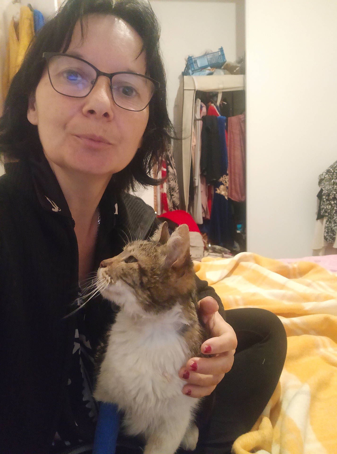 abyssinian, accessories, adult, animal, bodypart, cat, couch, face, female, finger, furniture, glasses, hand, head, indoors, person, pet, photography, portrait, woman