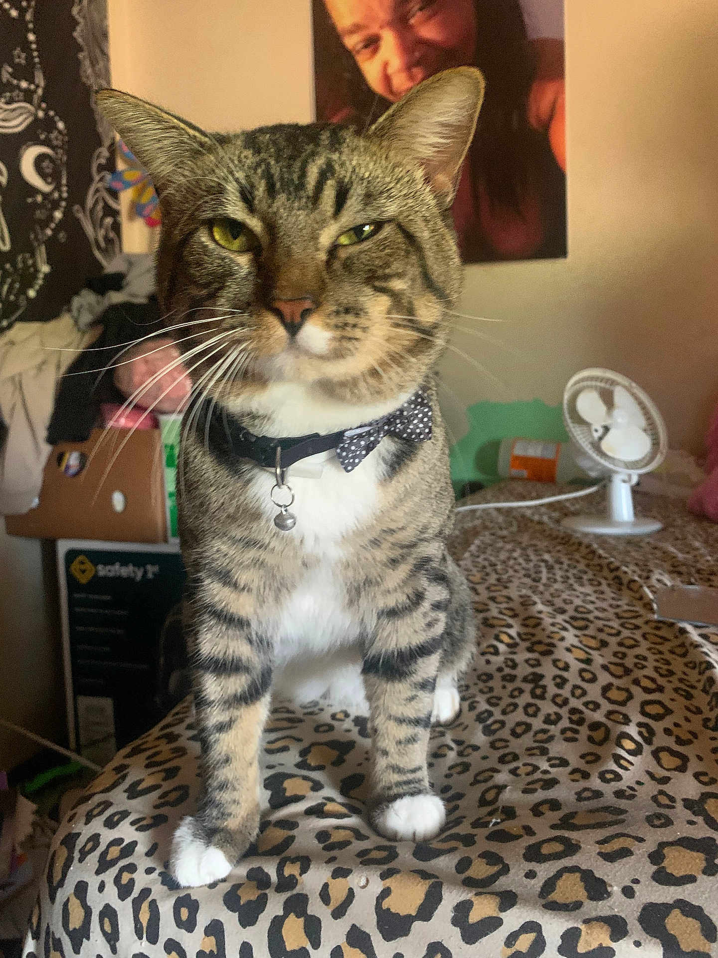 Ace