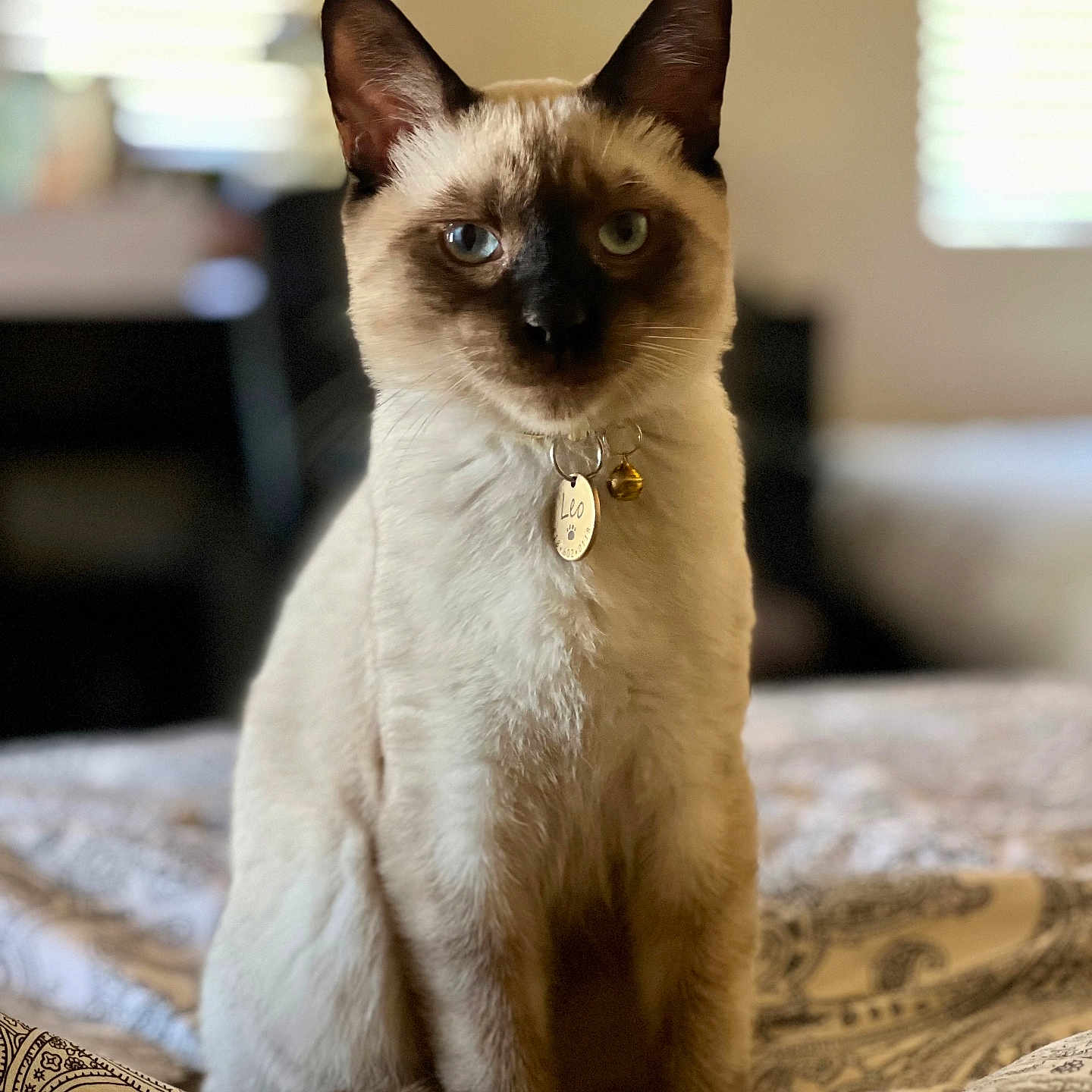 Leo Larry Singh