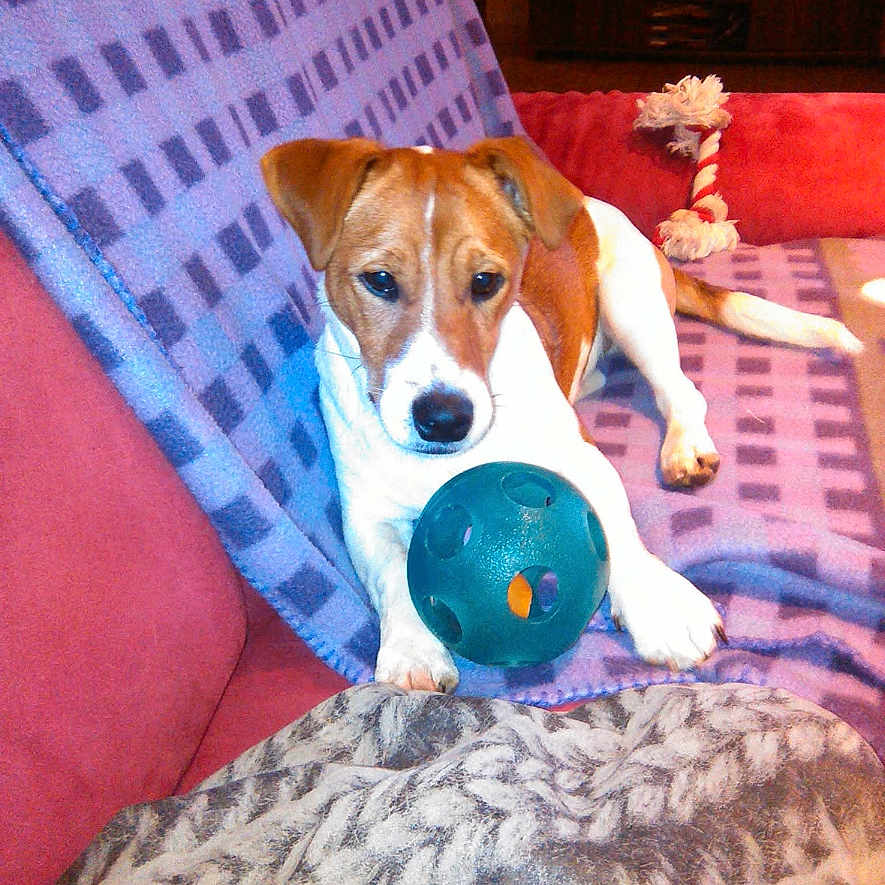 Marley