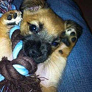 Diego participe au concours pour gagner de l'argent avec cette photo :