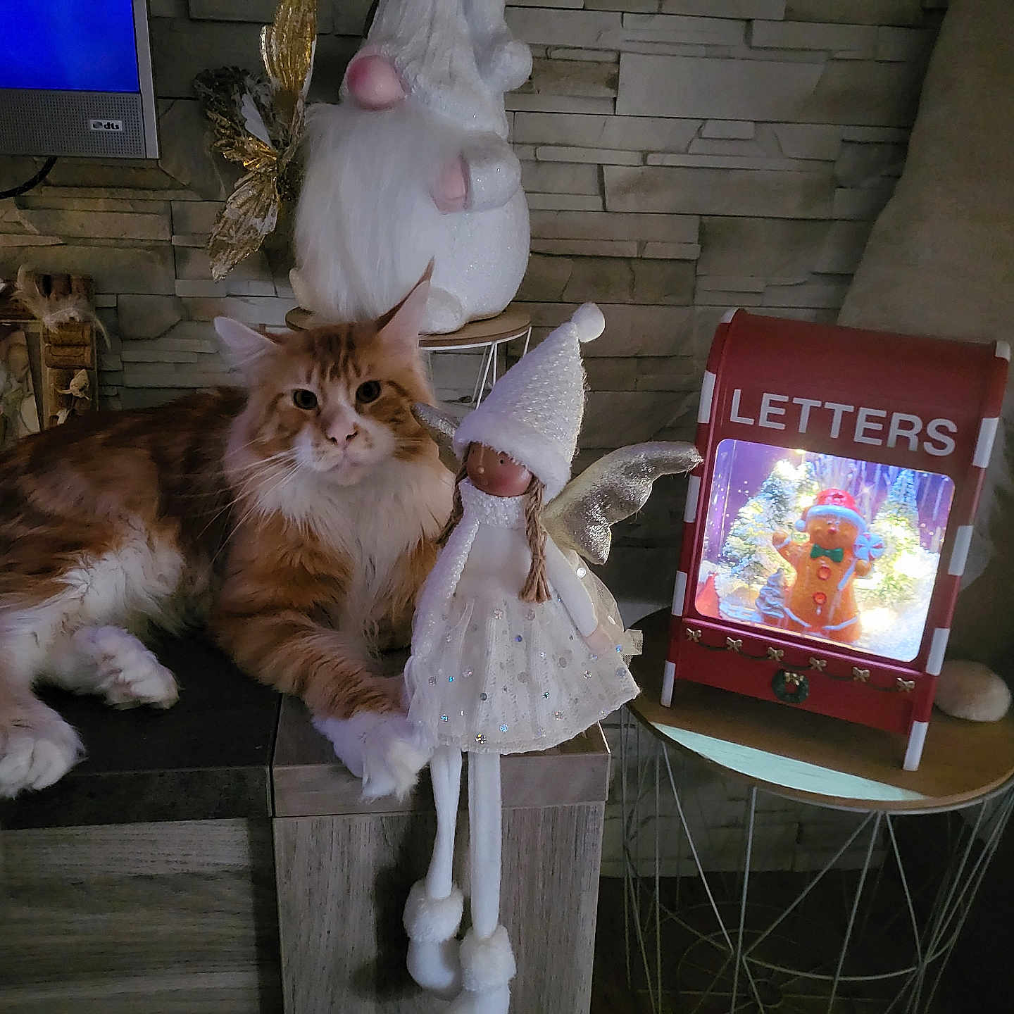 Usopp participe au concours pour gagner de l'argent avec cette photo : animal, book, cat, child, computerhardware, electronics, face, female, furniture, girl, hardware, head, monitor, person, pet, publication, screen, table, tv, wood