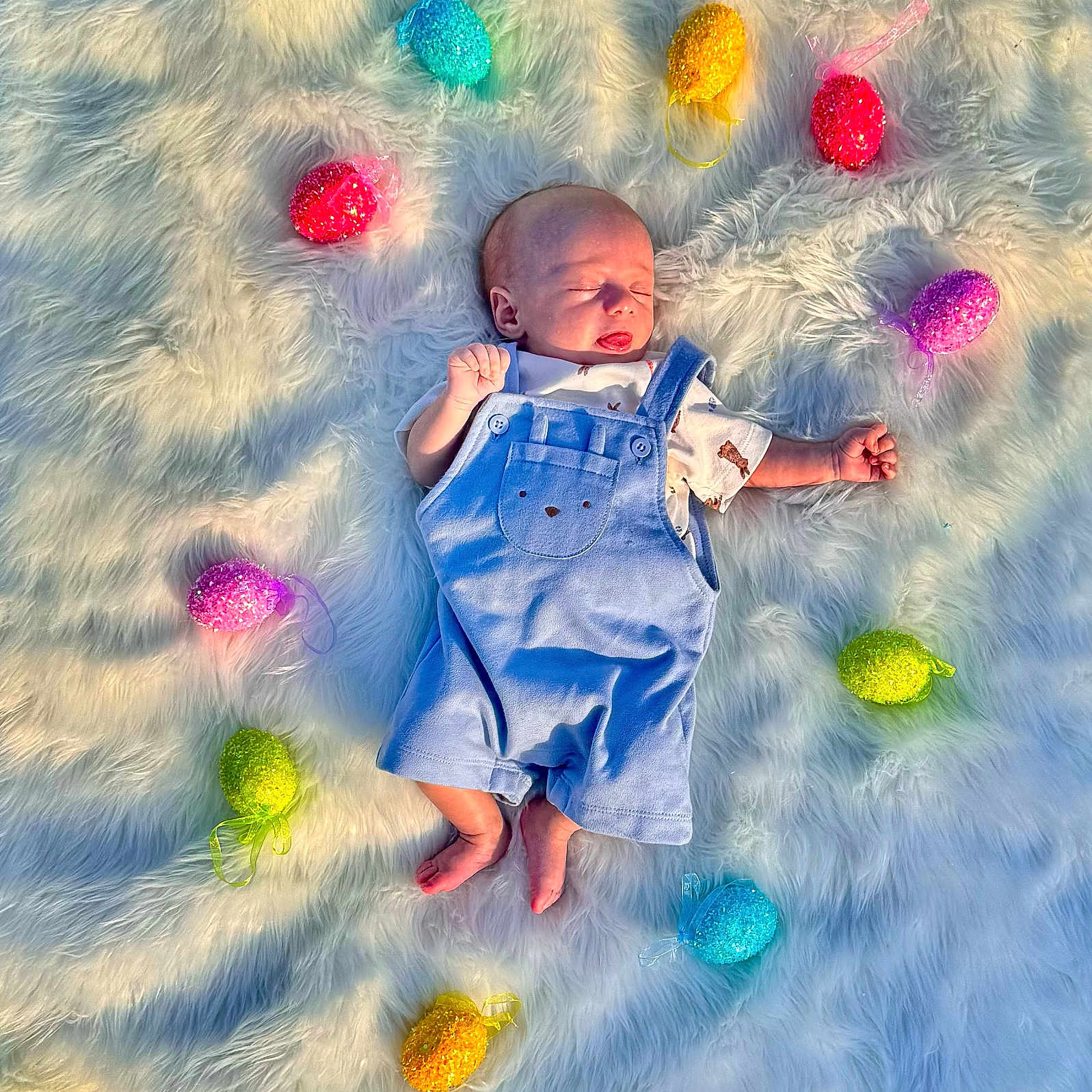 Callum joined the competition — help win amazing prizes! animal, baby, ball, blanket, canine, dog, egg, face, food, happy, head, newborn, person, pet, photography, portrait, sport, tennis, tennisball, yawning