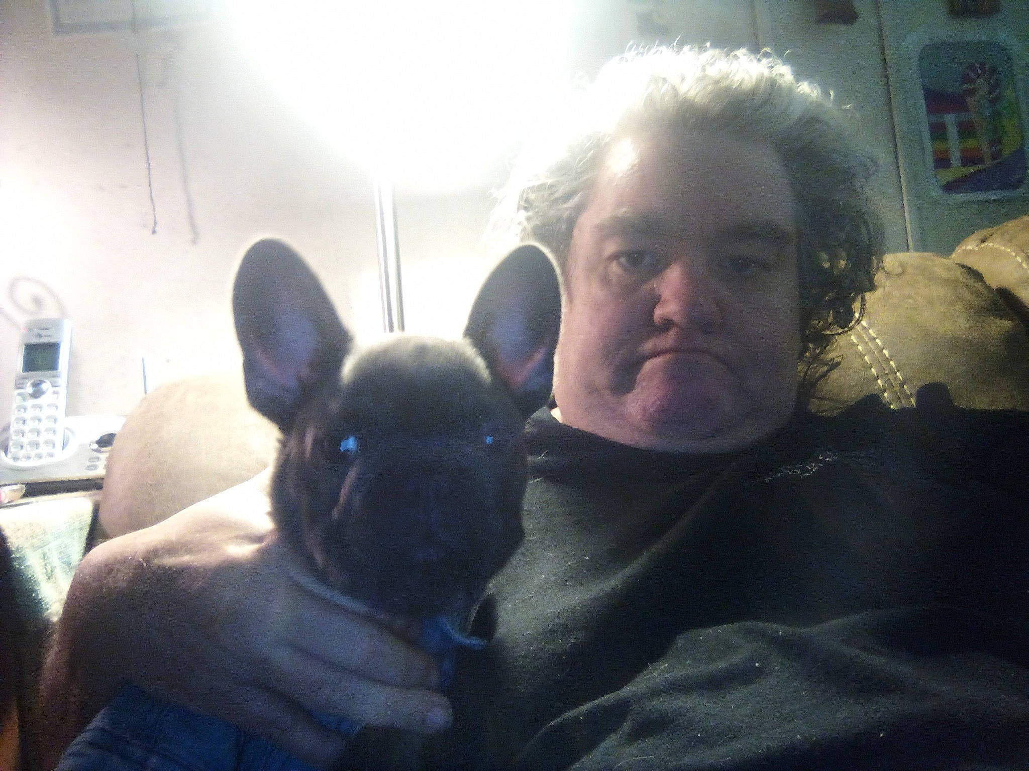 Eclipse joined the competition — help win amazing prizes! beard, carnivore, comfort, companion_dog, cool, dog, dog_breed, ear, facial_hair, fawn, fun, gesture, happy, jaw, mouth, selfie, sitting, thumb, toy_dog, whiskers